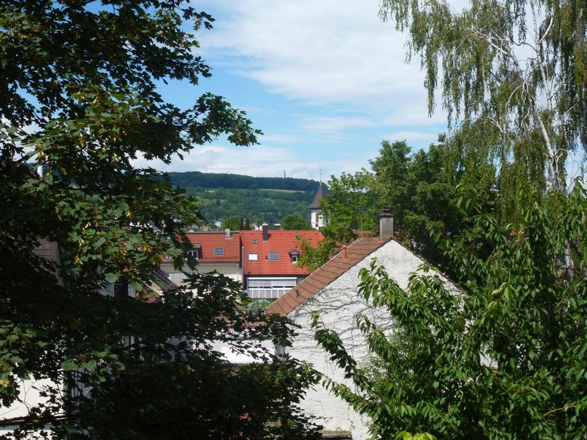 Villa Am Rosenfelspark Lörrach Exterior foto